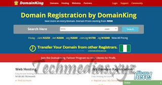 DomainKing.NG Review – Cheap Web Hosting Company in Nigeria