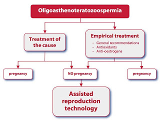 oligoasthenoteratozoospermia