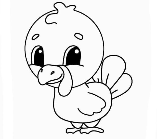 Turkey Coloring Pages For Kids