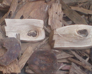 gaharu wood