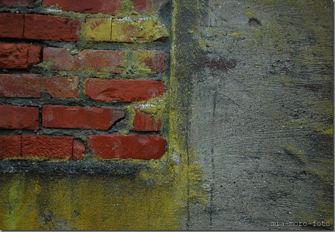 anotherbrickinthewall2