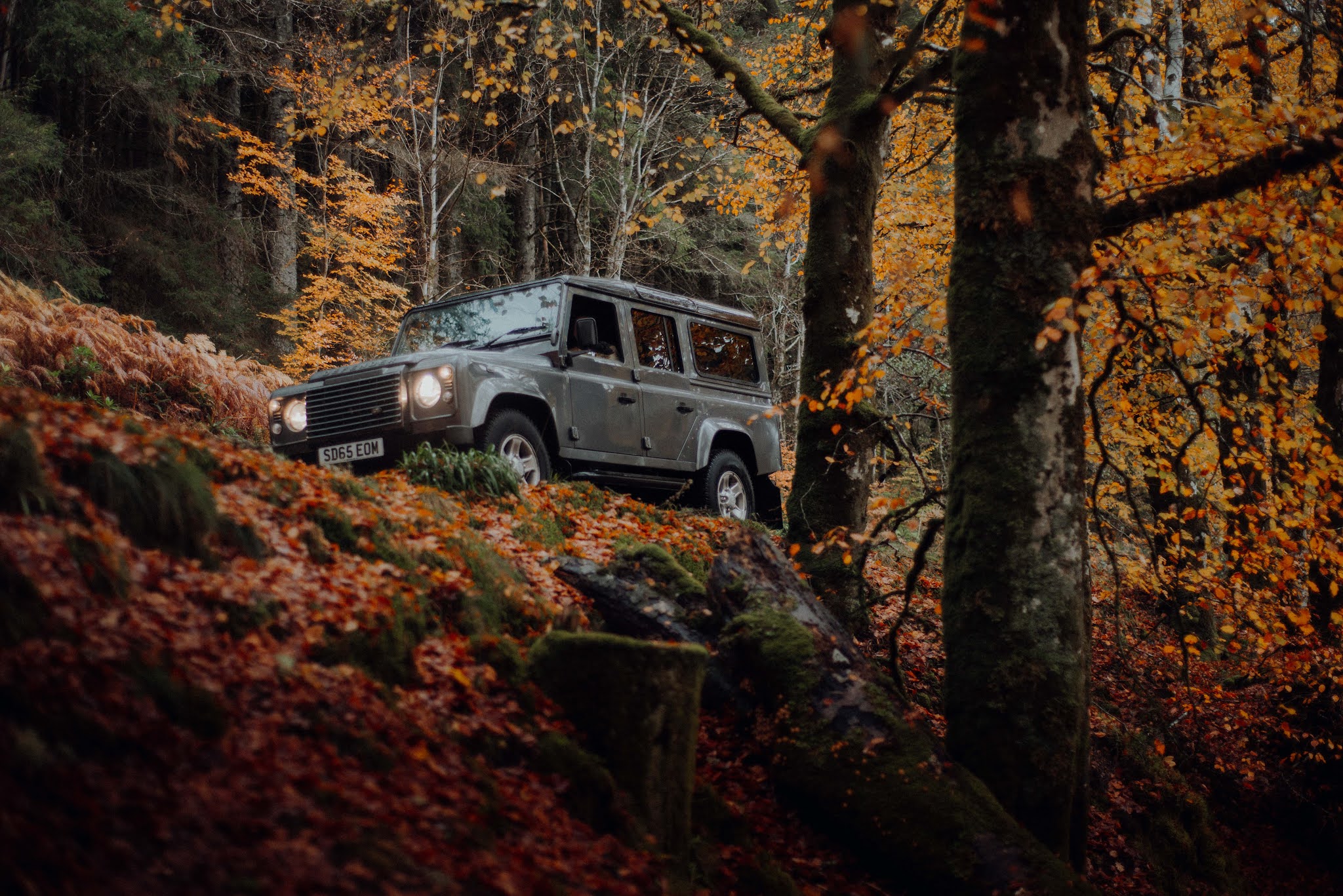 autumn drives landrover defender liquid grain