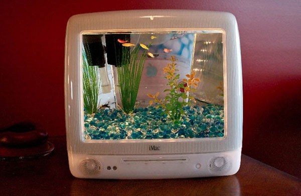 artistic fish tank ideas