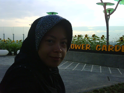 sun flower garden changi airport