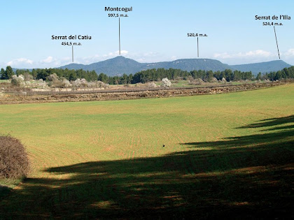 Els camps del Pla de Can Vila amb el Montcogul al fons