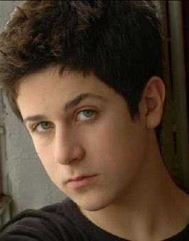 David Henrie 2011