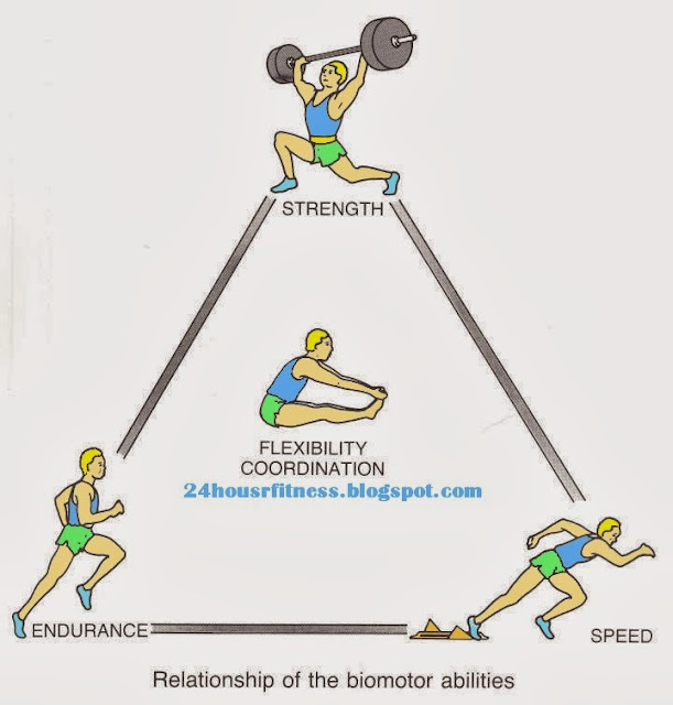 Components of fitness