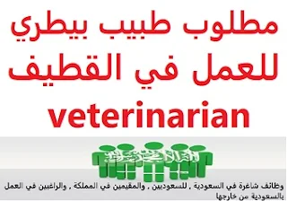   A veterinarian is required to work in Qatif  To work in Qatif  Type of shift: full time  Education: Bachelor degree  Experience: Six to ten years of work in the field Fluent in Arabic and English  Salary: 3,800 riyals, which can be increased