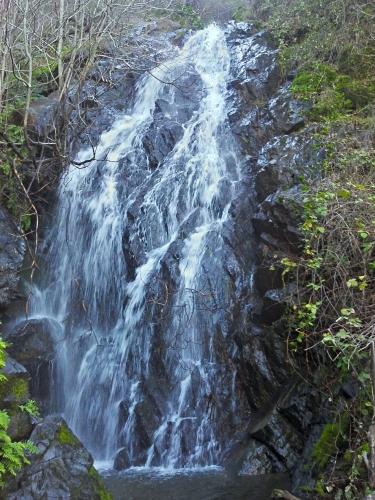 Black Hole Of Calcutta Falls