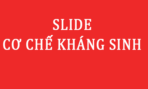 cơ chế kháng sinh pdf