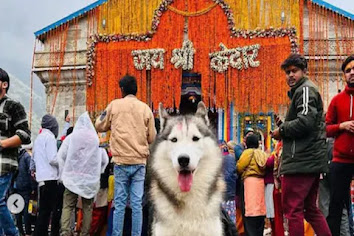 चित्र