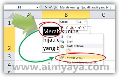 Mewarnai goresan pena merupakan salah satu hal yang biasa digunakan di microsoft excel Cara Memberi Berbagai Warna Tulisan dalam Satu Sel Ms Excel
