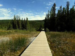 Liard River Hot Springs Lodge