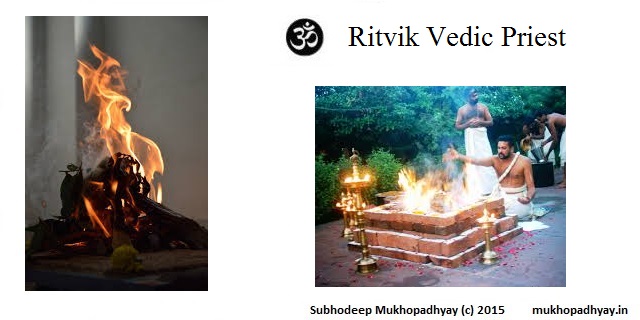 Ritvik Vedic Priest
