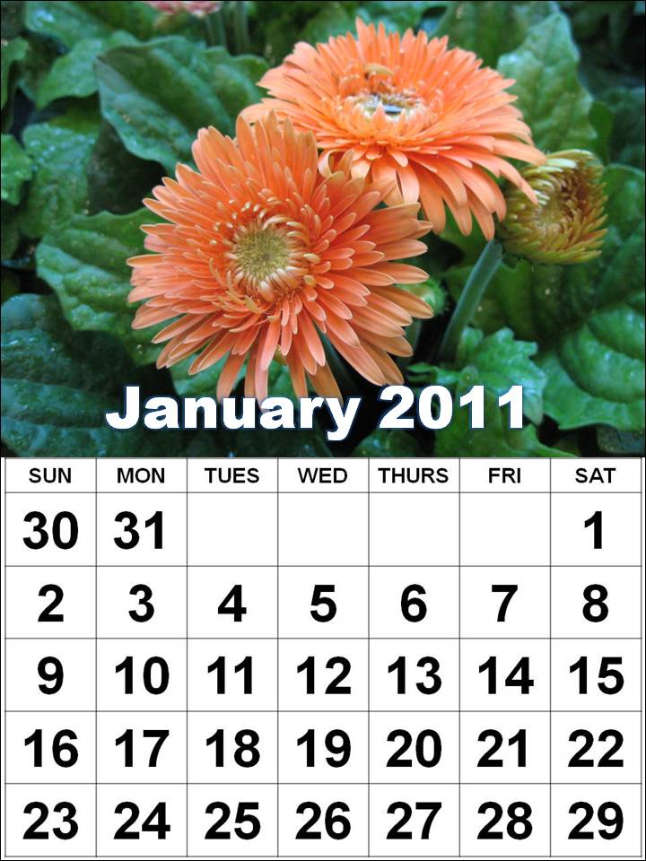 2011 Calendar Word. 2011 calendar printable