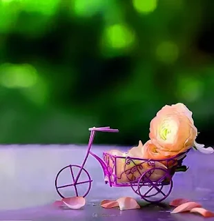 fb dp new stylish and latest whatsapp dp fb dp new stylish and latest whatsapp dpfb dp new stylish and latest whatsapp dp