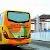 Kumpulan Foto Bis Pahala Kencana Jetbus Orange Adiputro