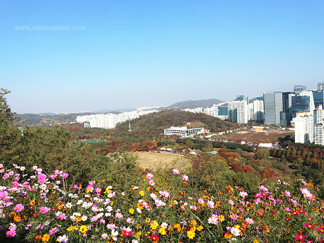 View dari Haneul Park