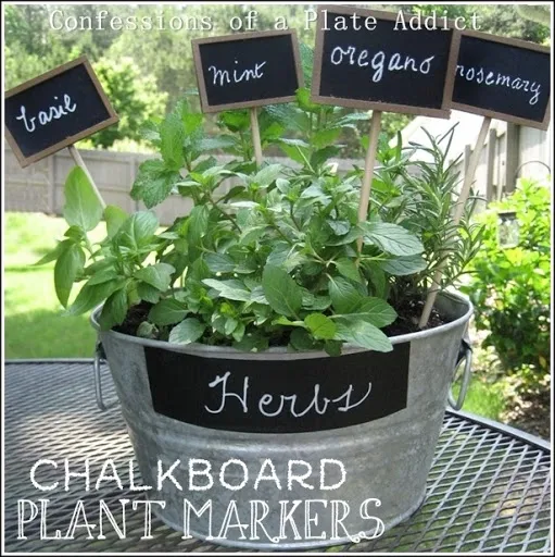 CONFESSIONS OF A PLATE ADDICT Mini Herb Garden with DIY Chalkboard Plant Markers3 CONFESSIONS OF A PLATE ADDICT Mini Herb Garden with DIY Chalkboard Plant Markers3