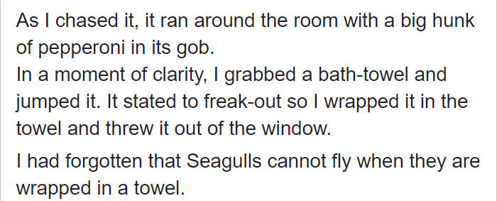 We Couldn't Stop Laughing With The Hilarious Story Of The Worst Hotel Guest Ever That Even Got Banned From Hotel Forever