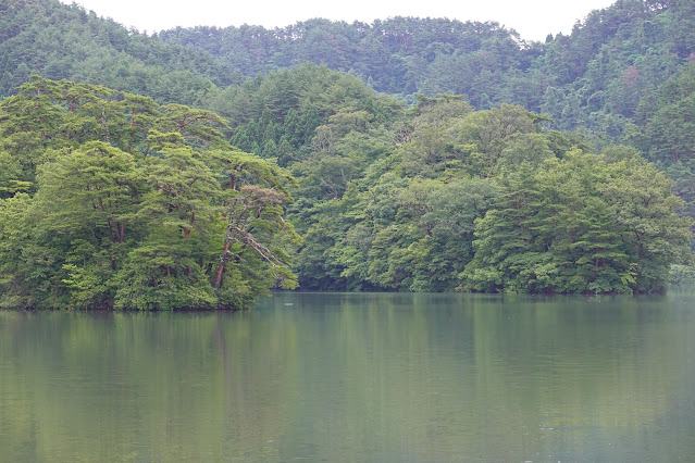 鳥取県西伯郡大山町赤松 赤松池