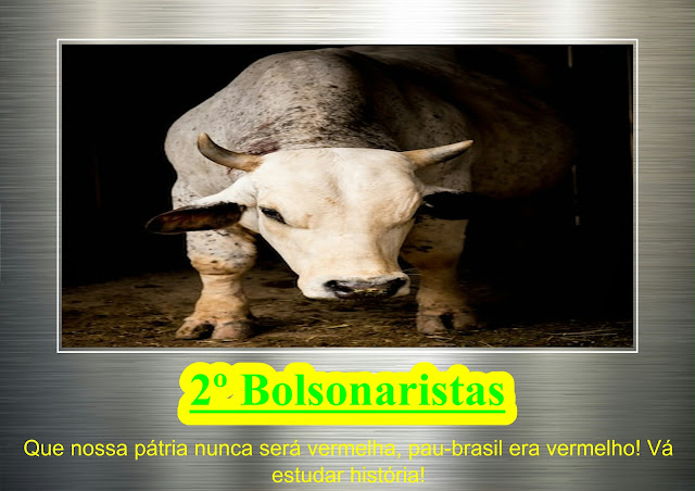 2 - Bolsonaristas