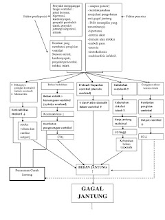   pathway chf, chf clinical pathway home health, heart failure outpatient clinical pathway, pathway chf pdf, pathway chf lengkap, clinical pathway template, clinical pathway guidelines, copd clinical pathway, clinical care pathways template