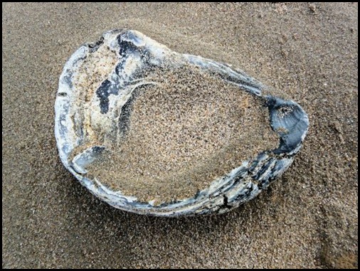 on beach 5