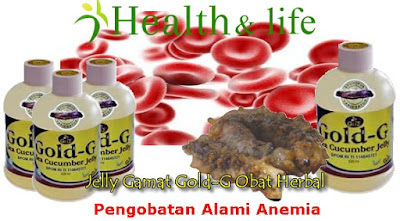 Pengobatan Alami Anemia Secara Tradisional