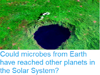 http://sciencythoughts.blogspot.com/2019/01/could-microbes-from-earth-have-reached.html