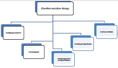 a hierarchy table classifying cardiovascular drugs