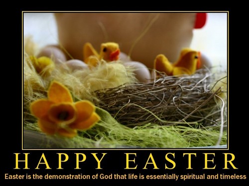 happy easter funny jokes. happy easter funny photos.