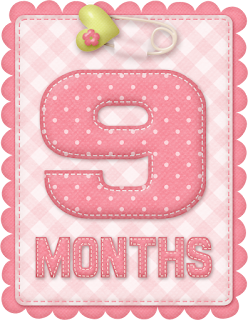 Free Printable Baby Month Counter for Girls.  