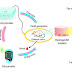 Smartphone-Controlled Cells Help Keep Diabetes in Check