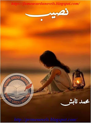 Naseeb novel pdf by Muhammad Tabish Season 1