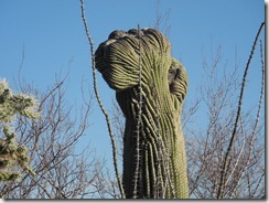 DSCN3128