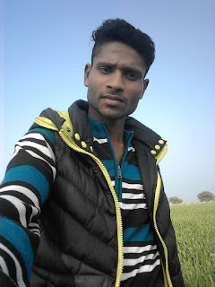 चित्र