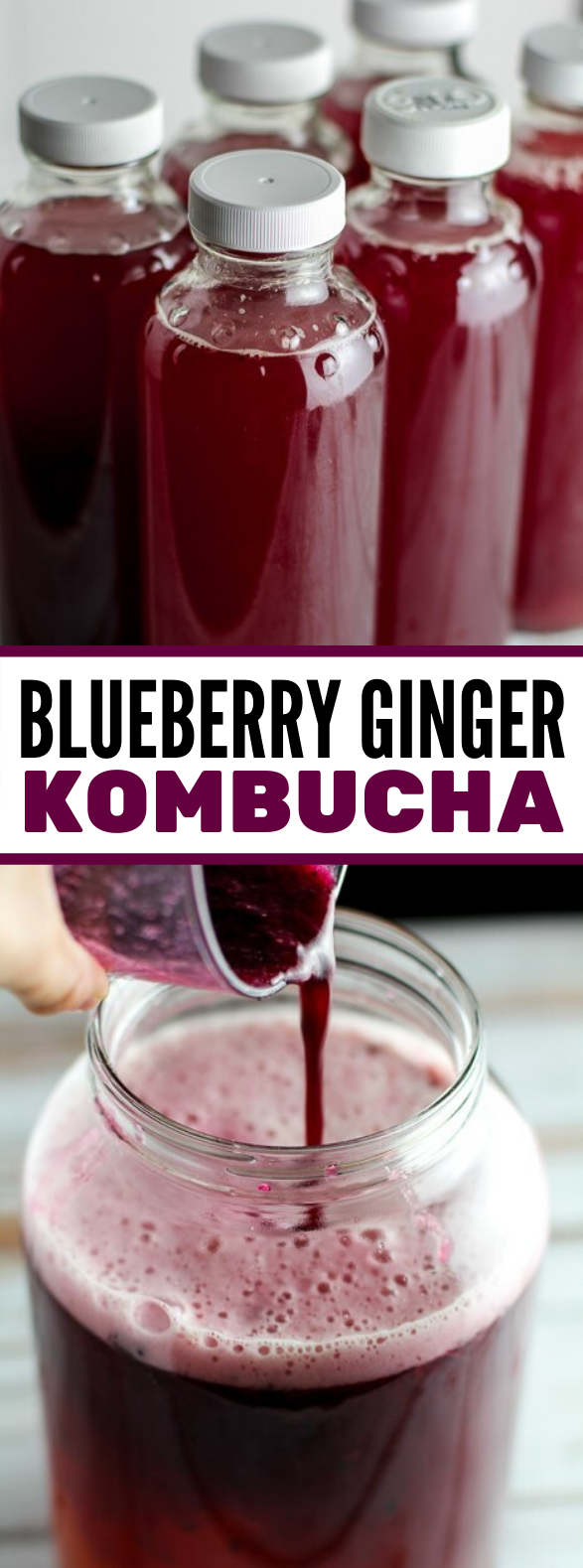 How to make Blueberry Ginger Kombucha #drinks #healthydrink