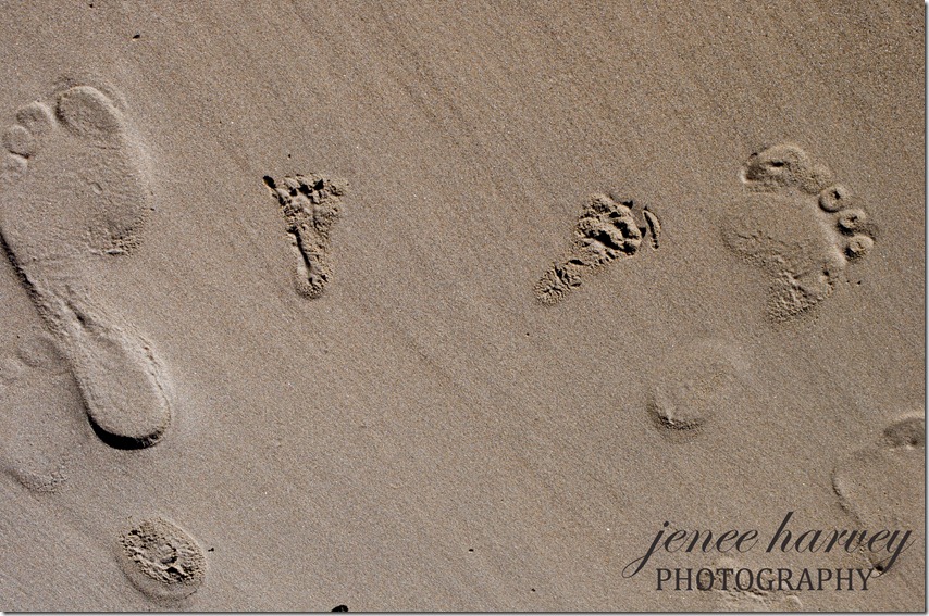 v-day and pismo-82