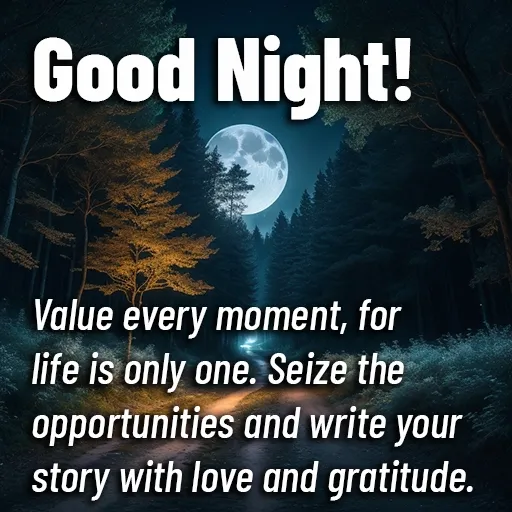 Value every moment, for life is only one. Seize the opportunities and write your story with love and gratitude. Good Night.