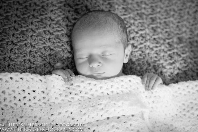 milwaukee newborn photographer, milwaukee baby photographer, milwaukee family photographer