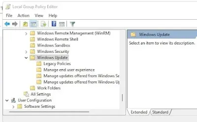 opsi windows update