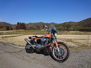 ハーレー,スポーツスター,がるーだ,ターコイズ,ダートラ,883R,sportster,スーパートラップ,インターナル