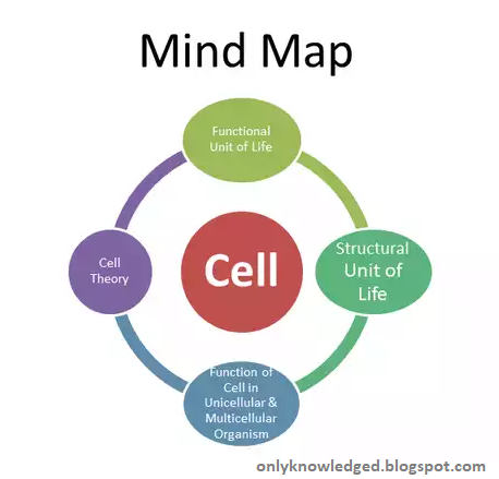 ICSE - Chapter-1 Cells-The Structural and Functional Unit of Life, Important Question and Notes