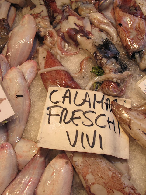 Fresh Live Squid at the Rialto Market in Venice.