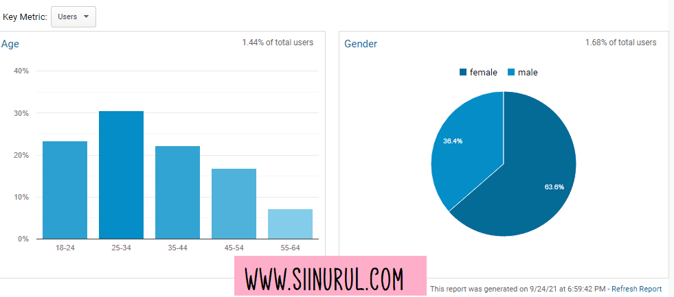 google analytic