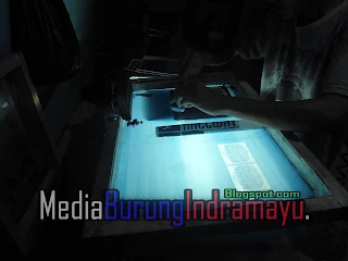 Perbedaan Cutting Sticker dan Sticker Vinyl | Stiker Grosir, Stiker Vinyl Kiss Cut – Seven Sticker, Jual stiker vinyl a3 Murah dan Terlengkap
