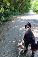 Trail to Lake Ontario from Scarborough Heights Park