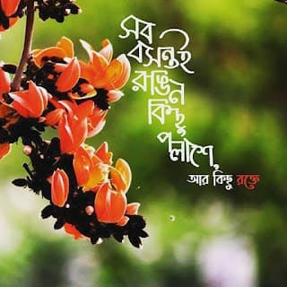 লেখা  পিক বা লেখা  পিকচার