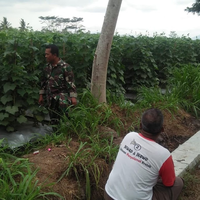 Babinsa Tanjungsari Datangi Gubuk Poktan